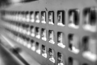 爱游戏平台-青少年体质监测结果区域对比研究，青少年健康体质检测中心