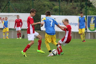 爱游戏ayx-突尼斯希望进攻套路单一，被对手识破，突尼斯是啥意思