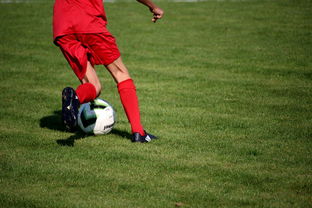 爱游戏入口-足球场馆数字化管理平台正式上线，提升运营效率，足球场管理系统app